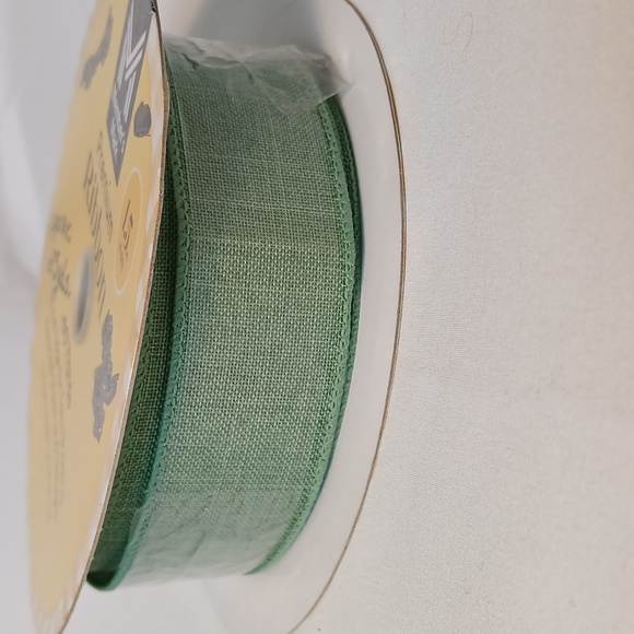 Green Blue Ribbon - Picture 6 of 7